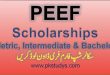 Metric to Post Graduation PEEF Scholarships 2022