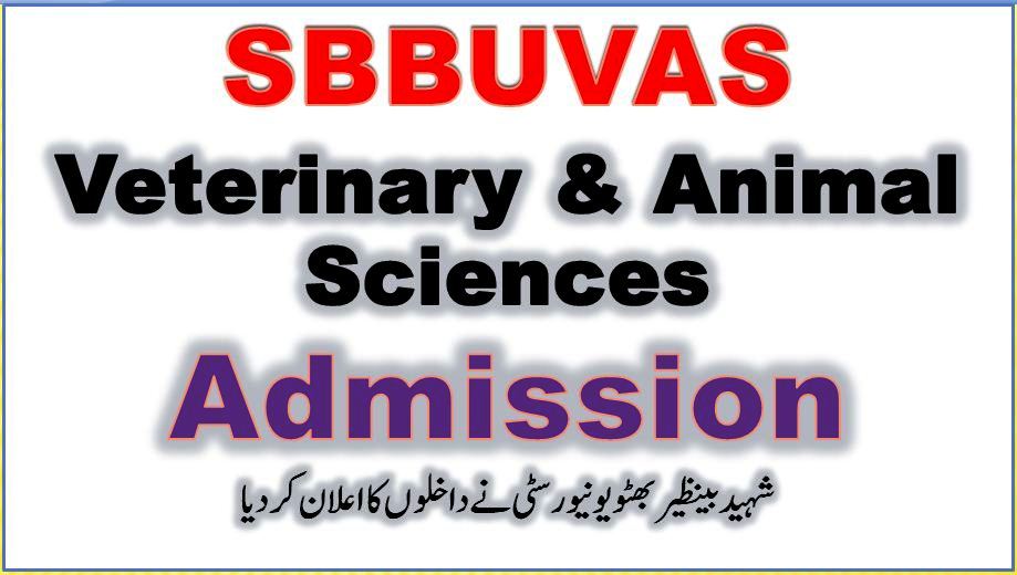 Application Form for SBBUVAS Admission 2023 Sakrand