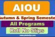 Download Autumn & Spring Semester AIOU Roll No Slip 2022