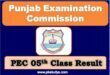 Download Online PEC 05th Class Annual Result 2022 All Boards