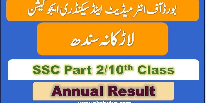 Download Online BISE Larkana Matric Result 2022 SSC Part-2